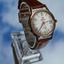 Vintage ROAMER Watch Swiss BREVETE Movement Image 8