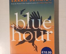 Blue Hour by Sarah Schmidt