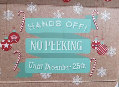 A Large Christmas Gift Box - Read Carefully - #