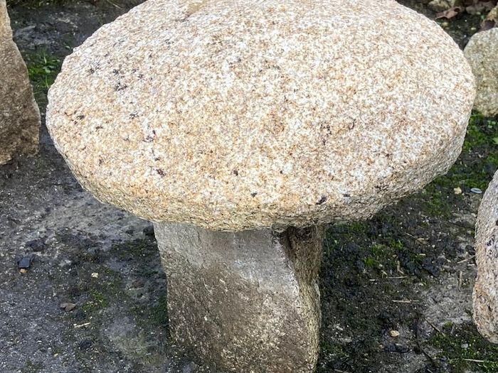 granite mushrooms