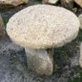 granite mushrooms Image 7