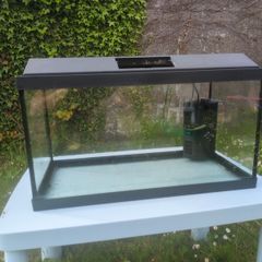 aquarium
