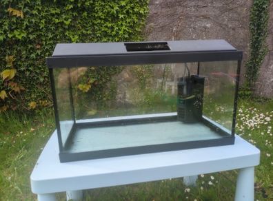 aquarium
