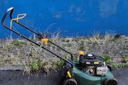 petrol lawnmower
