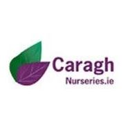 Caragh Nurseries Jobs in Ireland