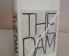 The Dam by Paul Ferris (HQ09)