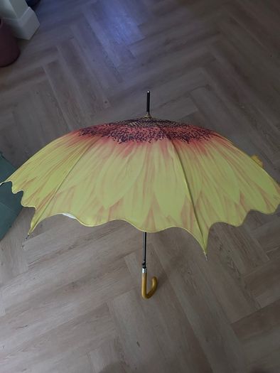 Umbrella