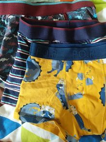 Boy's briefs (Polarn O Pyret, Dunnes and other), bundle of 7