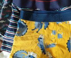 Boy's briefs (Polarn O Pyret, Dunnes and other), bundle of 7