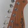 Harley Benton ST-90SA Swamp Ash DLX Series Image 3