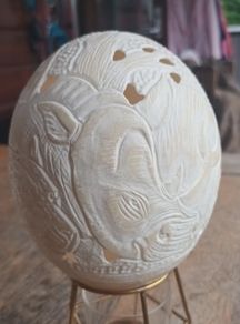 Dummie Khums ostrich egg, rare find, no damage, D18