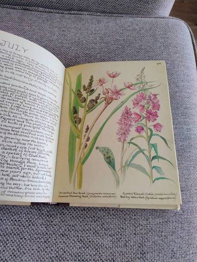 The Country Diary of an Edwardian Lady 1979 by Edith Holden in very good condition with some wear to the dustcover see photos FREE STANDARD POSTAGE INCLUDED