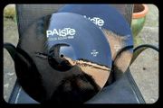 paiste colour sound cymbals