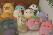 squishmallow