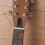 Palmer Guitar with case Image 5