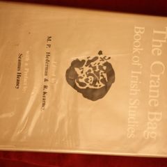 The Crane Bag Book of Irish Studies