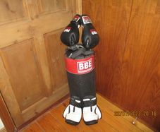 2 Pairs of Boxing Gloves