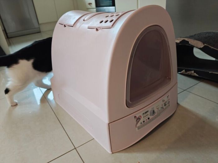 large cat litter