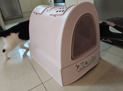 large cat litter