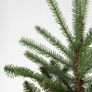 Christmas Tree (Ikea Plastic) Image 4