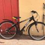 Bike Image 2