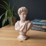 Apollo Bust 3D Printed Classical Decor, 12cm or 18cm Image 3