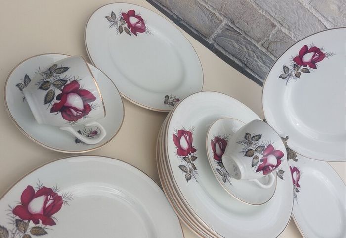 Beautiful Set of Six Large Dinner Plates by Arklow Pottery in the Very Popular and Collectable "Autumn Rose" Pattern
