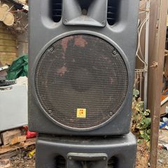 A pair of Passive 15" 300w 8ohm full range speaker
