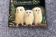 Irish language children's book