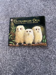 Irish language children's book
