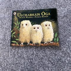 Irish language children's book