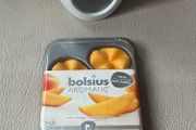 Bolsius Wax Melt Burner + 8 Wax Melts