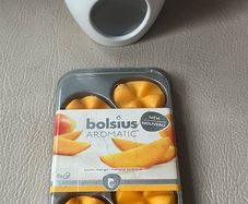 Bolsius Wax Melt Burner + 8 Wax Melts