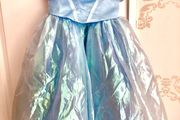 Cinderella costumes