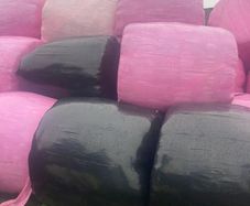 Round bales of silage