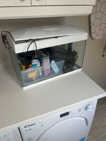 Fish Tank