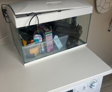 Fish Tank