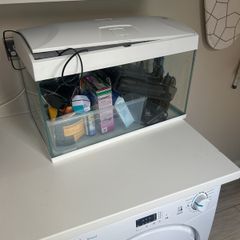 Fish Tank