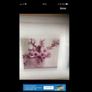 Framed Floral Prints Image 6