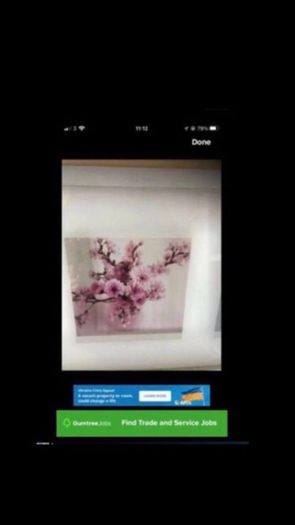 Framed Floral Prints
