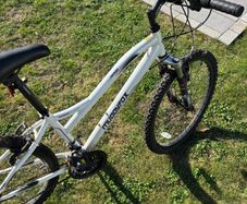 bikes