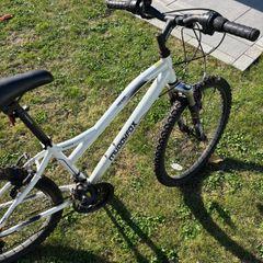 bikes