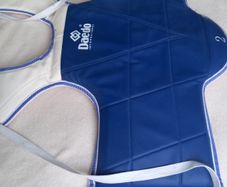 Taekwondo boys protection gear