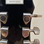 Epiphone Sheraton 1988 (Korean Model) Image 5