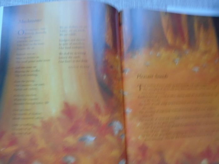 Treasury of Children's poetry, Hardback book, Gift, Children's books,