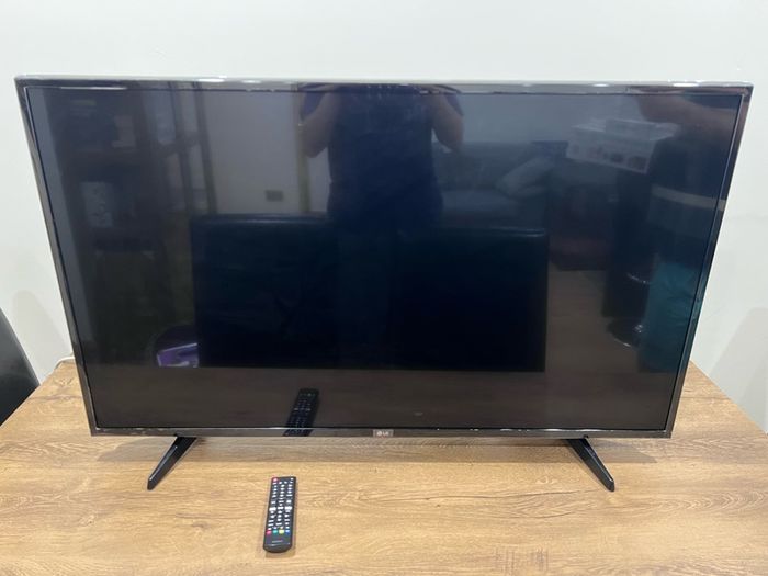 TV LG 49LH590V. Size: 49 inches. Year: 2017