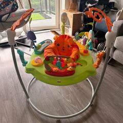 fisher price bouncer