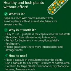 Capsule fertilizer for aquarium plants