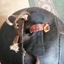 1930's Original 12panel Leather football Image 5