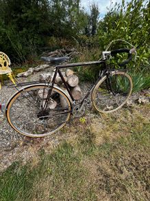 Dawes Super Galaxy Bike